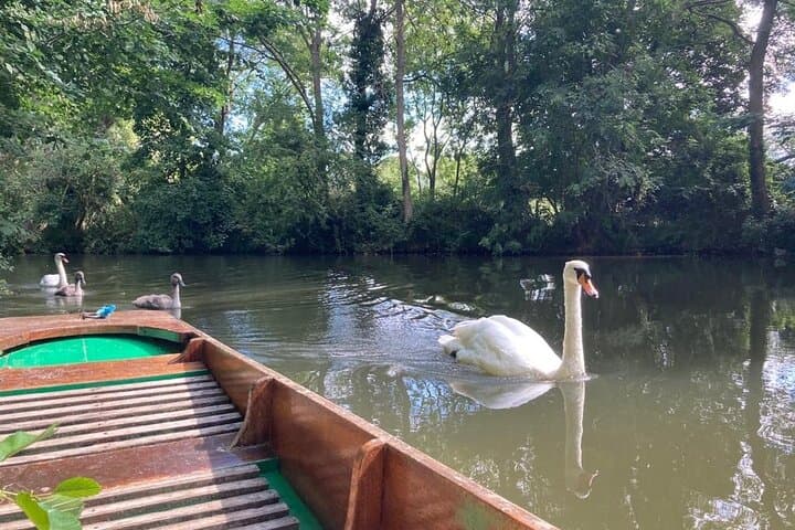 Oxford : Punting - Oxbridge Tours