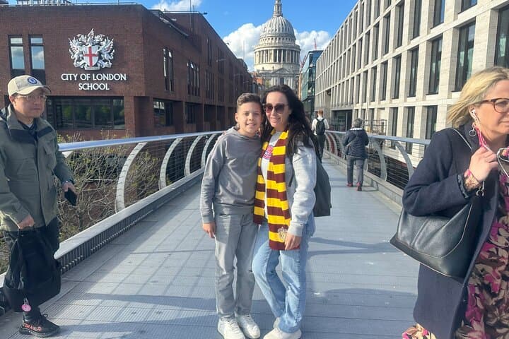 London Harry Potter Private Black Cab Tour with Hotel Pick Up