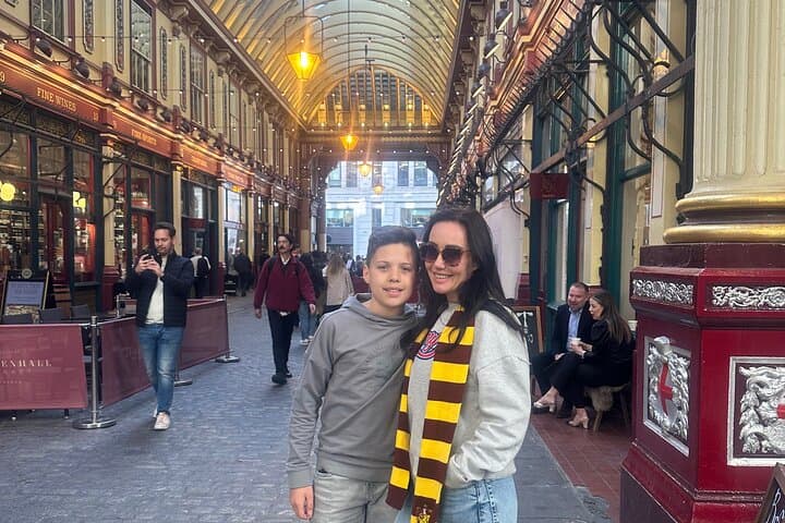 London Harry Potter Private Black Cab Tour with Hotel Pick Up