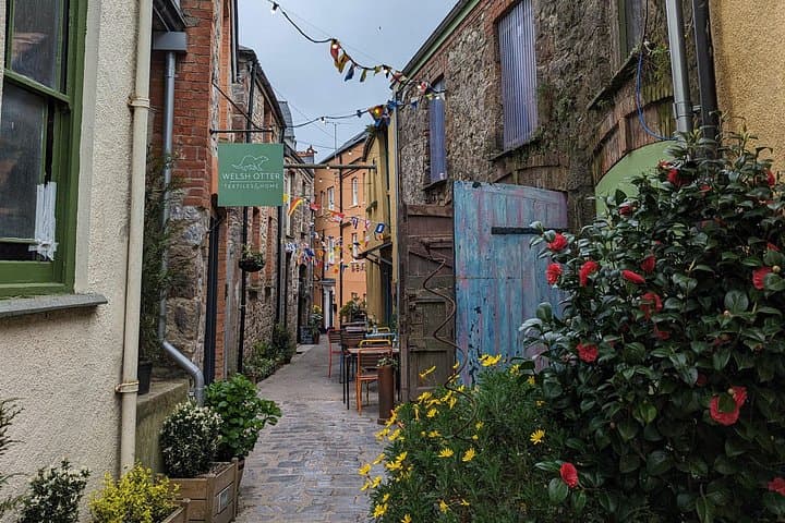 Shore Excursions - Bespoke Day Tour of North Wales