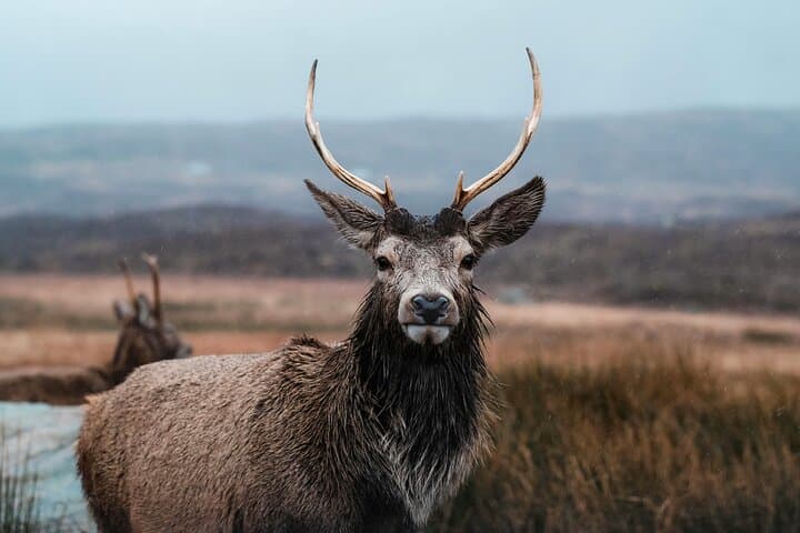 Inverness Private Direct Transfer to Fort William