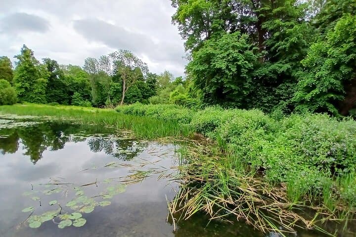Blenheim nature spotting bike tour