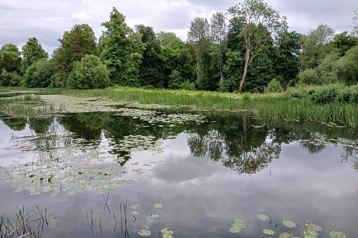 Blenheim nature spotting bike tour
