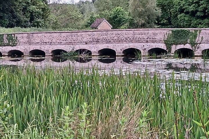 Blenheim nature spotting bike tour