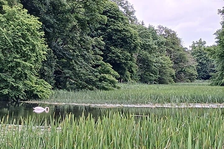 Blenheim nature spotting bike tour