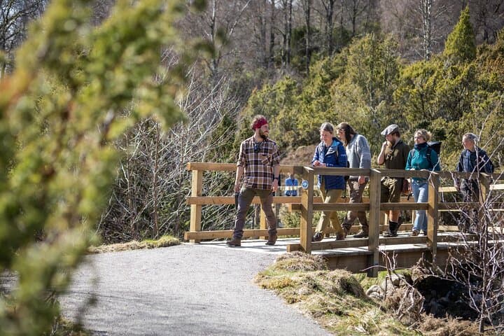 Rewilding Walk along footpaths