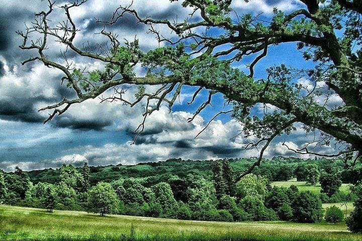 Kent Garden of England in Private Vehicle Tour including Passes