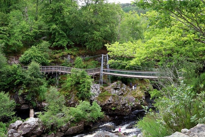 Bridges at Rogie Falls