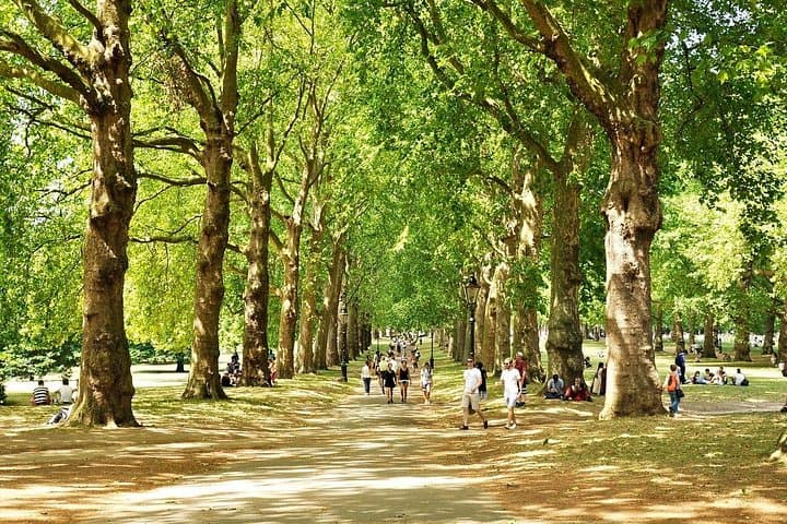 Stunning walks through and views of Royal Parks