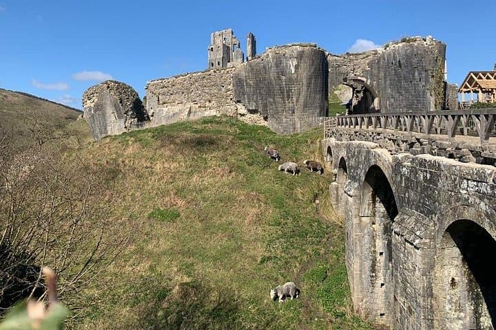 E-Bike Excursions from Swanage, Dorset
