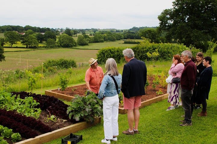 Wine & Cheese in the Somerset Valleys - with Michelin-star lunch!