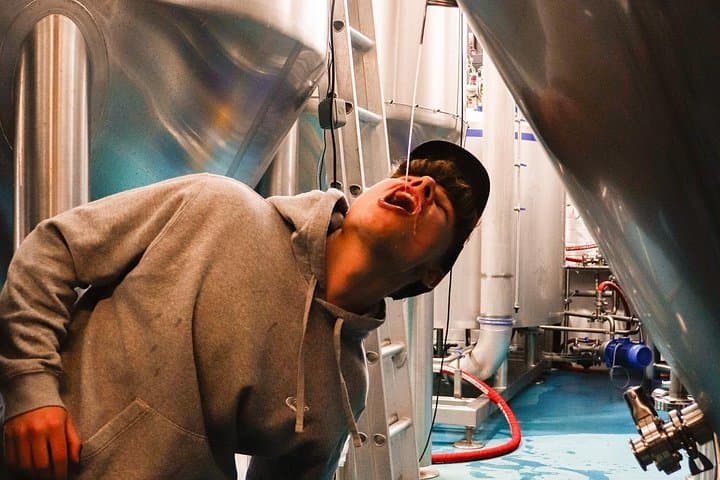 3 Locks Brewing Company Tour and Tasting Experience in Camden