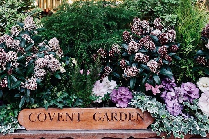 London Personalized 3 Hours Private Walking Tour