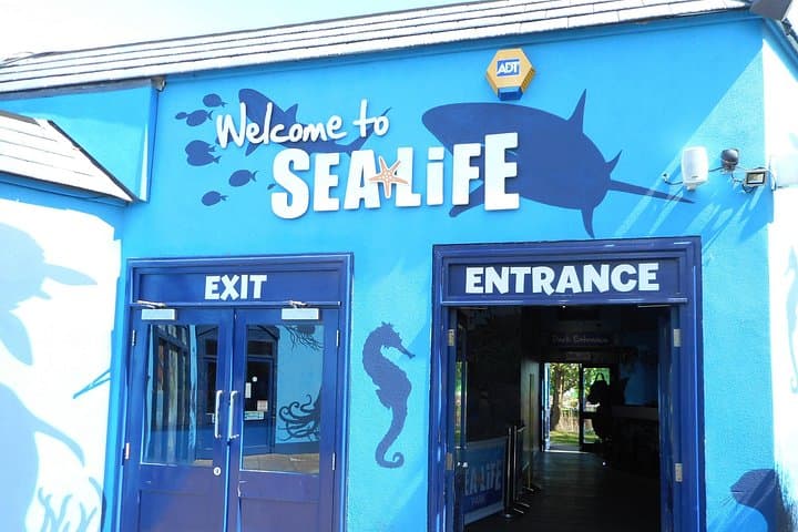 SEA LIFE Weymouth Admission Ticket
