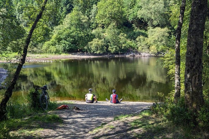 Steamship Cruise, Sheepdog Demo, Foraging Walk, Trossachs Trail
