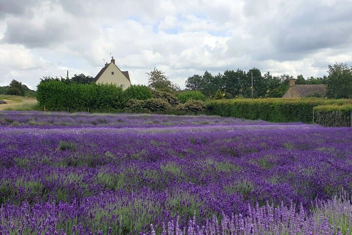 Cotswold Private 10 Hour Day Tour from London