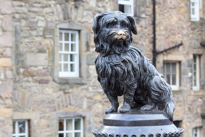 Wanderway Edinburgh