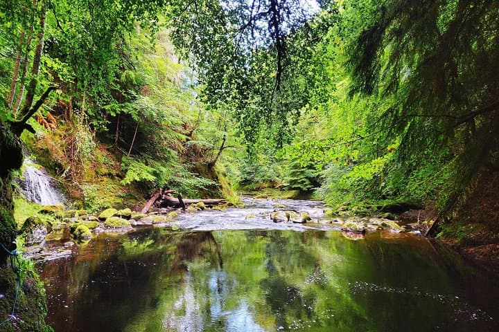North Day Tour: Dunrobin Castle, Glenmorangie, Dornoch and More