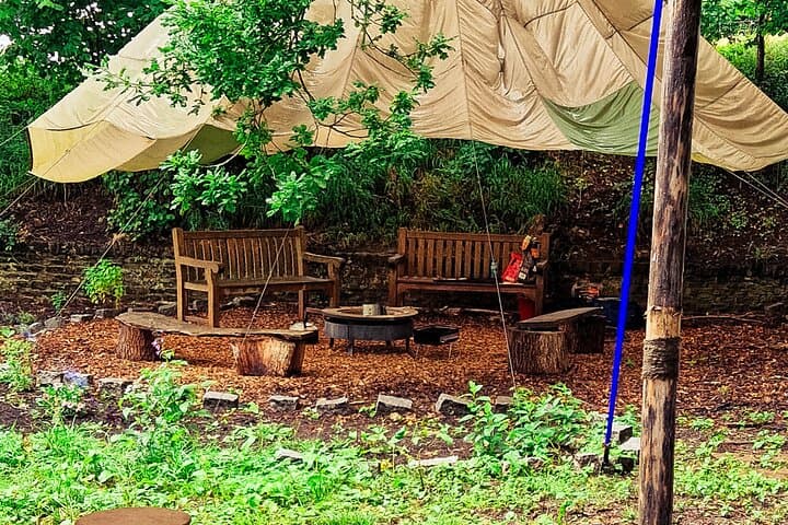 Yoga & Forest Bathing Day Retreat
