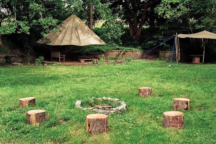 Yoga & Forest Bathing Day Retreat