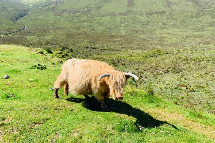 Isle of Skye Bespoke Luxury Tour from Inverness