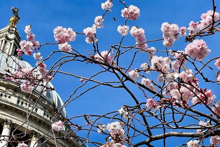 Iconic London Landmark Photography City Tour