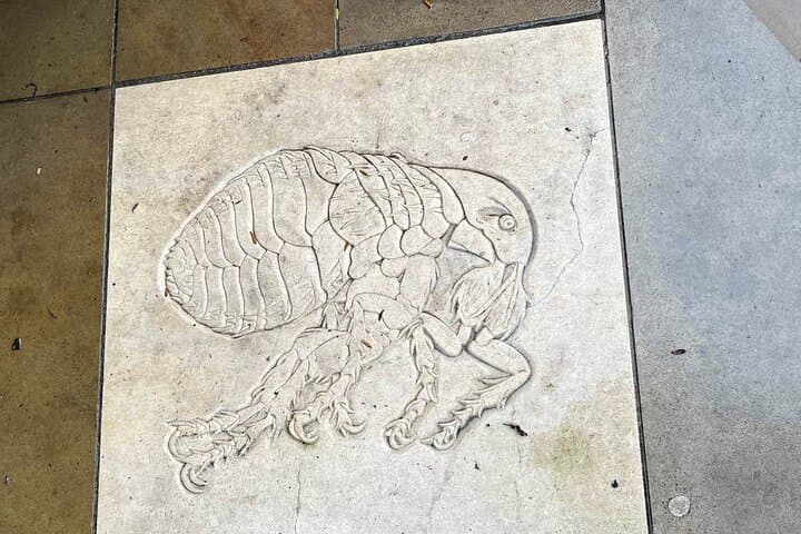 The Great Fire, Plague & Black Death Tour of London