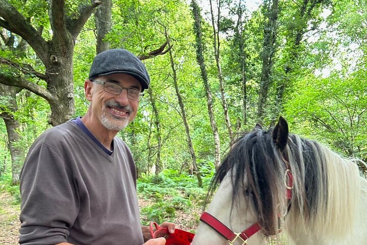 Pack Pony Wild Camping in Ancient Woodland, Dorset