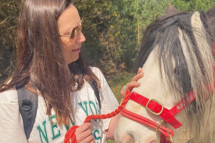 Pack Pony Wild Camping in Ancient Woodland, Dorset
