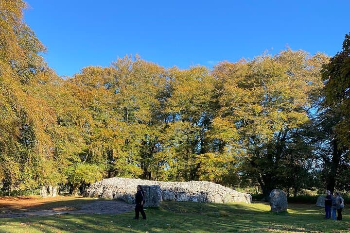 CLAVA CAIRNS
