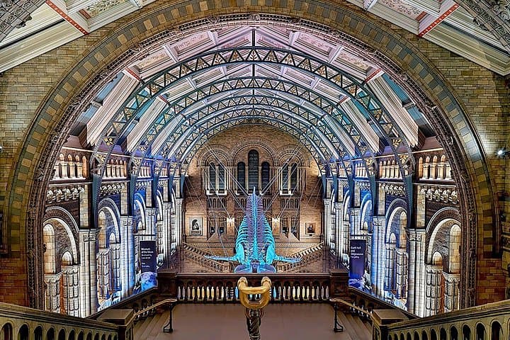 Discover the Natural Marvels of London A Museum Visit + Ebook