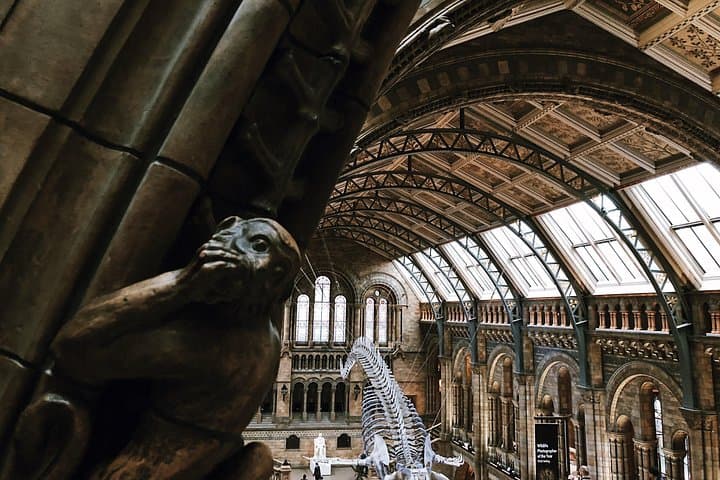 Family Friendly Natural History Museum London Private Guided Tour