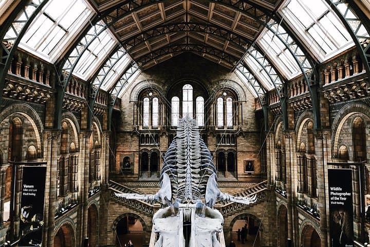 Family Friendly Natural History Museum London Private Guided Tour