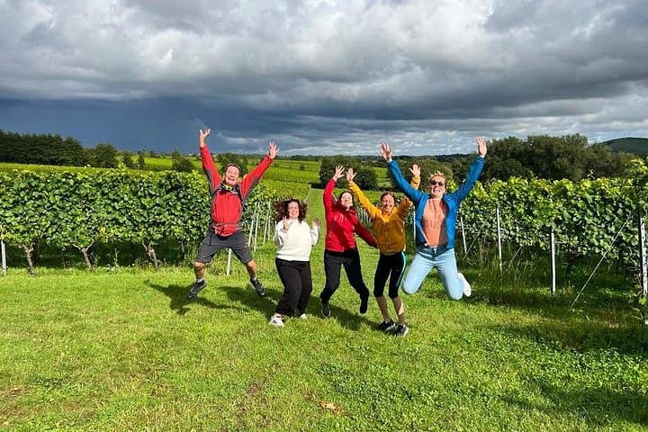 Fun in the Vineyards
