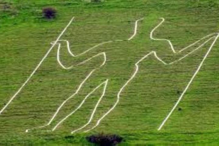 Longman of Wilmington