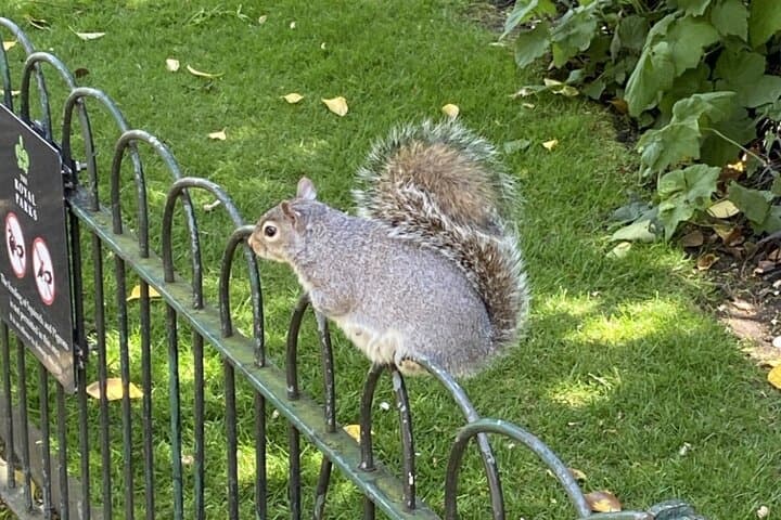Kensington Gardens Self-Guided Tour for Kids and Families