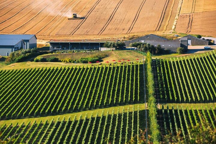 Rathfinny Wine Estate