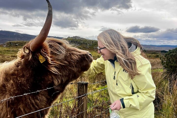 1-Day Isle of Skye + Hike Options (from Inverness or Skye)