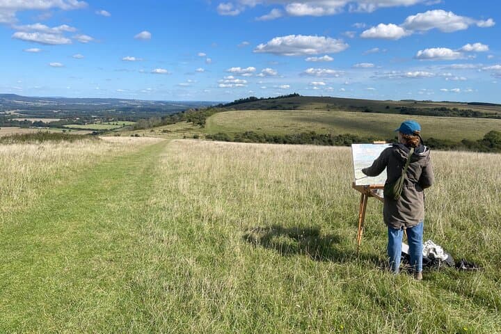 Brighton, Arundel & South Downs Private Luxury Tour from London