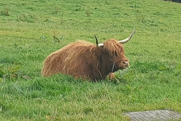 Stirling and Loch Lomond. Myth, Royalty, Scenery and Whisky