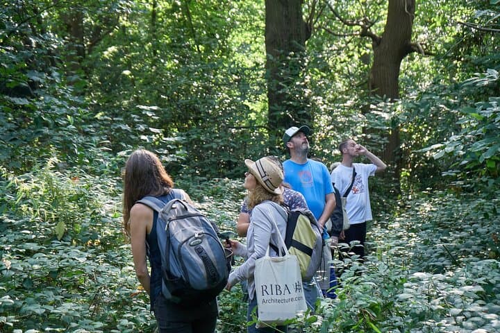 Guided Forest Bathing Walk in a Hidden SE London Woodland