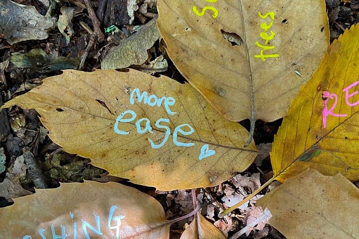 Guided Forest Bathing Walk in a Hidden SE London Woodland