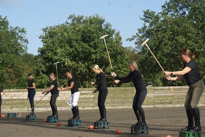 The Polo Experience & Lessons Surrey