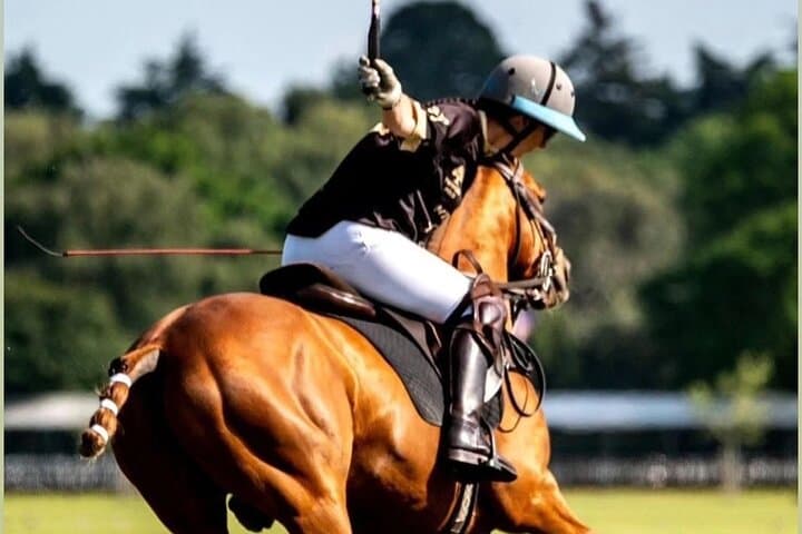 The Polo Experience & Lessons Surrey
