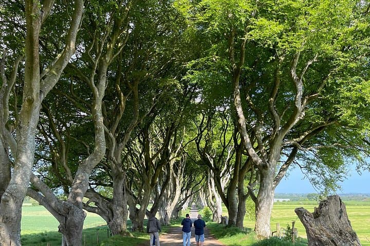 Luxury Tour of Giants Causeway from Belfast