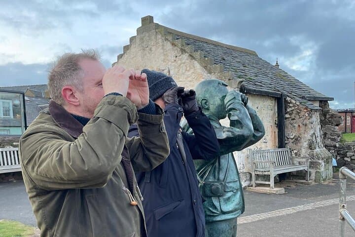 A keen eye for seabirds