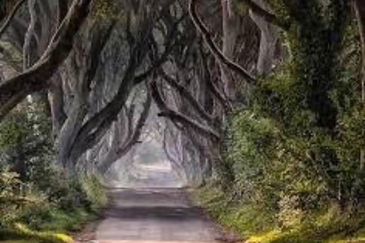 Giants Causeway Tour From Belfast including Game of thrones sites