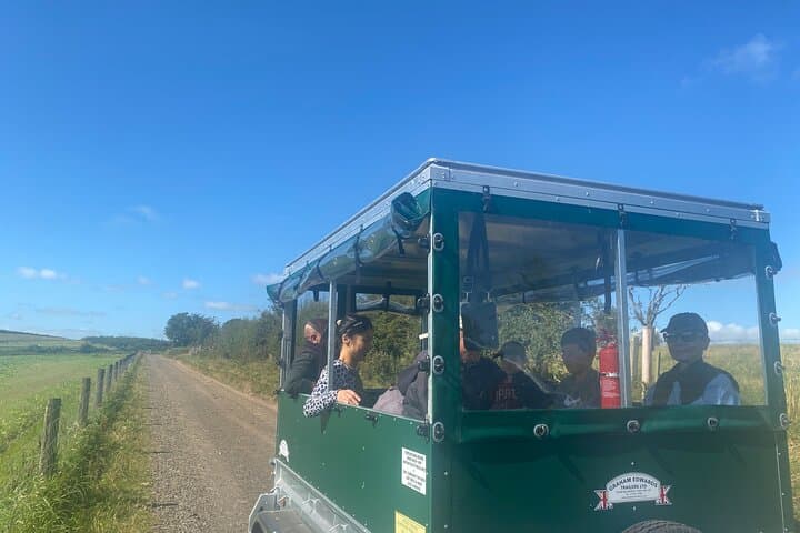 Off to see the sheep next