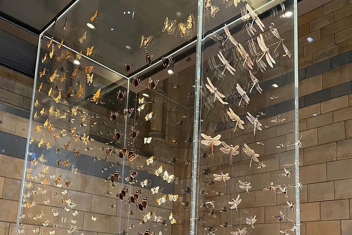Women in the Natural History Museum