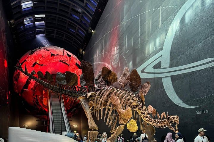 Women in the Natural History Museum